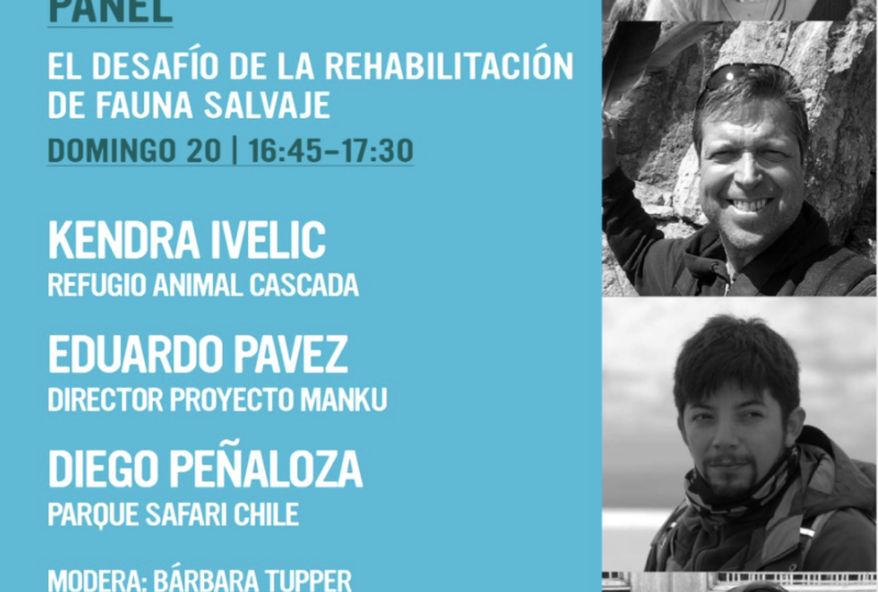 Charla «Desafío de la Rehabilitación de Fauna Salvaje en Chile