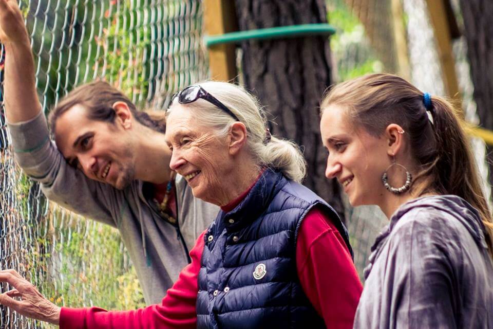 Jane Goodall visits the Refuge