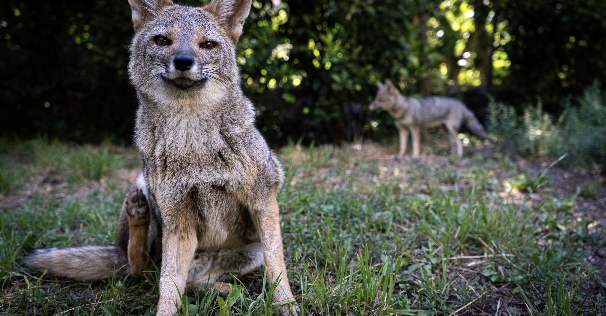 Visita el Centro de Exhibición y Educación Ambiental del Refugio Animal Cascada