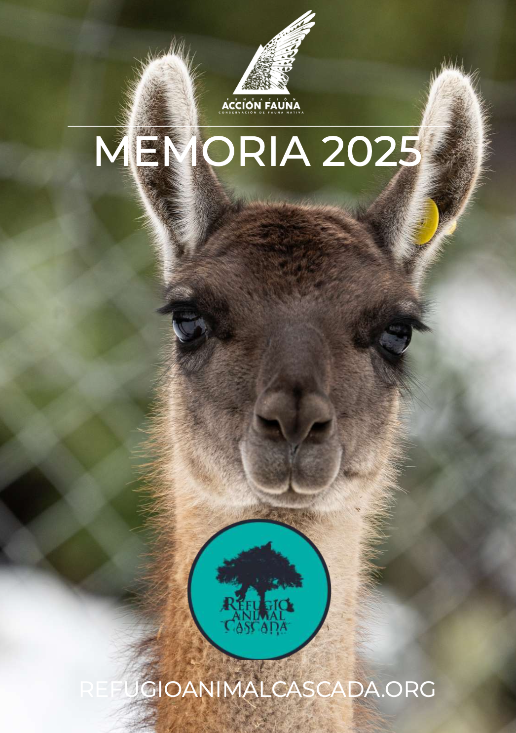 Memoria 2025